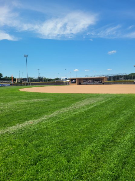 UW Whitewater Softball